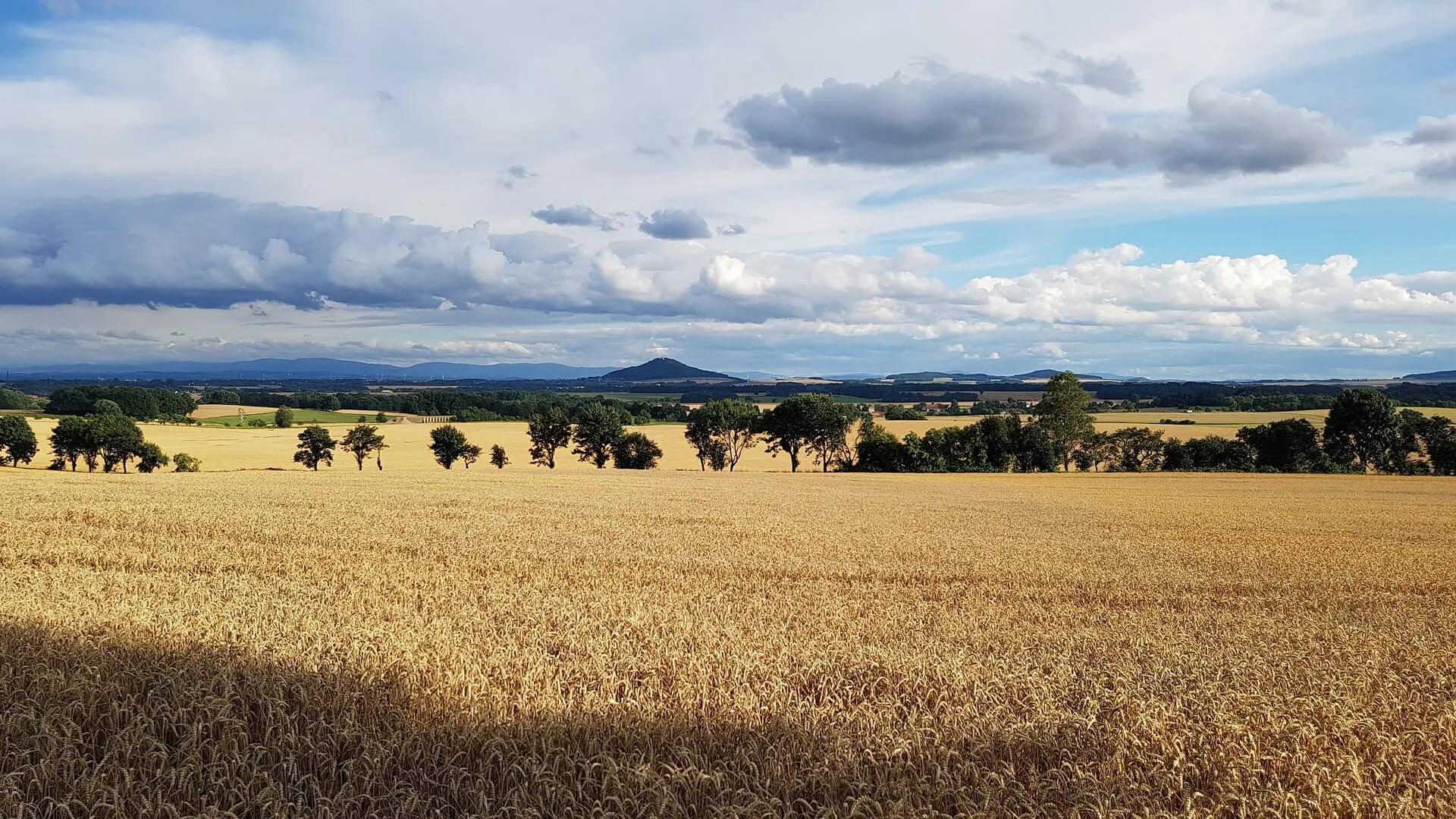Die Landeskrone und die grüne Landschaft rund um Görlitz